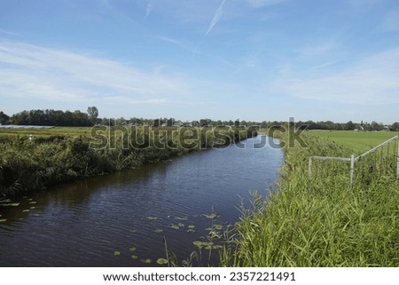 Pasture landscape in North Holland.  Canal and bike path through the meadows to the village of Bergen. Cattle and solar panels in the distance. Netherlands, September                               