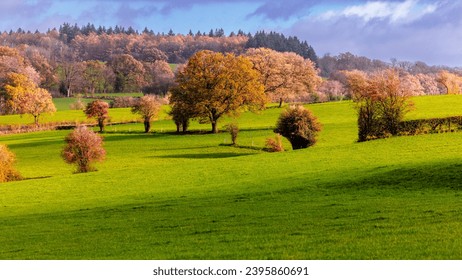 Pasture landscape with trees at golden hour in autumn in the Belgian Ardennes. - Powered by Shutterstock