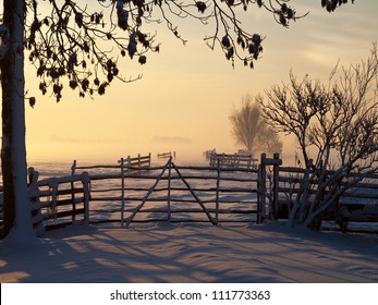 Pasture at winter sunset with tree and fence in front