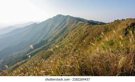 Pat Sin Leng County Park In Hong Kong