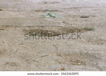 A patch of dirt with a hole in it and some leaves on the ground