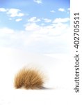Patch of dry grass on dune in White Sands National Park, New Mexico, U.S.A.