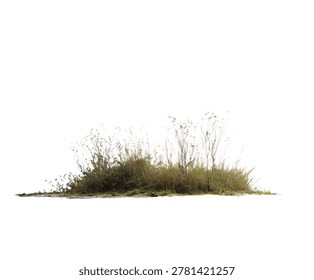 A patch of dry, withered brown grass and thin weeds, cleanly isolated against a transparent or white background setting