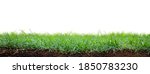 Patch of fresh green grass sod planted with angle showing roots in dirt and copy space in white background.