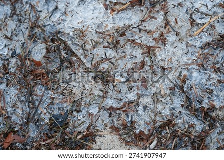 A patch of grass is coated with ice, broken into small sparkling shards, creating a textured winter surface where frozen blades and glassy pieces catch the light.