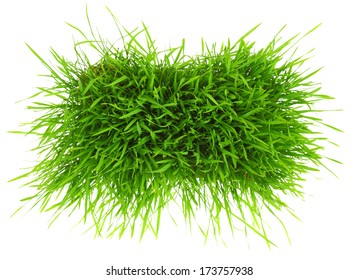 Patch Of Green Grass Isolated On White Background 