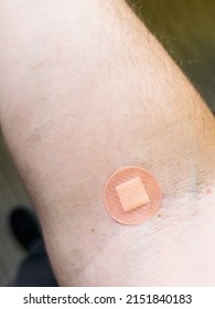 Patch On The Elbow After Giving Blood From A Vein. Concept For Hospitals, Laboratories, Donation Support.