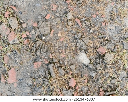 A patch of rough ground shows a mix of cracked concrete, broken red bricks, and sparse, dry grass. The surface is uneven and weathered, with small bits of debris scattered across the dusty soil.