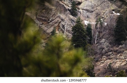 A Patch Of Snow. Hualapai Mountain Hiking Trail Kingman Az