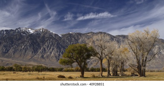 Patch Of Trees With The Californian Sierra Nevada In The Background,on The Way To Yosemite Valley,fall 2009.