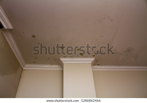 Patches Mold Forming On Ceiling Apartment Stock Photo Edit Now