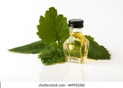 Patchouli  With Essential Oil.