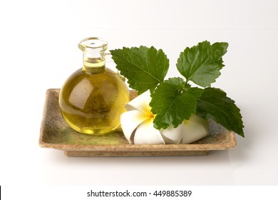 Patchouli Oil