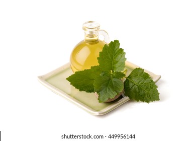 Patchouli Oil