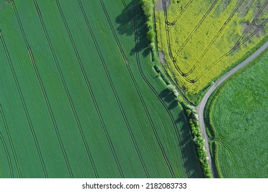 Patchwork Farm Land Plowed Fields In The UK Countryside View From Above In A Hot Air Ballon Or Drone 