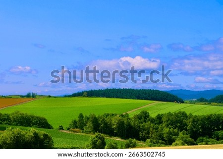 Patchwork Road (Biei Town, Kamikawa District, Hokkaido)
