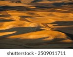 A patchwork of wheat stubble fields in the fall in the palouse wheat country in southeastern Washington.