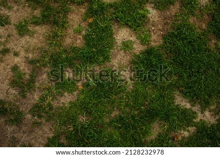 Patchy grass growing over rough dirt background texture