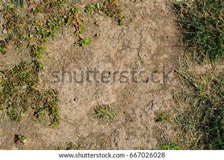 Patchy Grass Texture