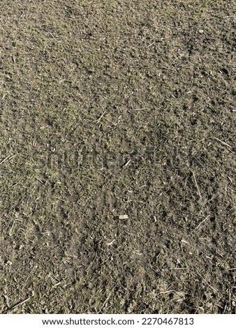 A patchy muddy and grassy field with odd bits of hay