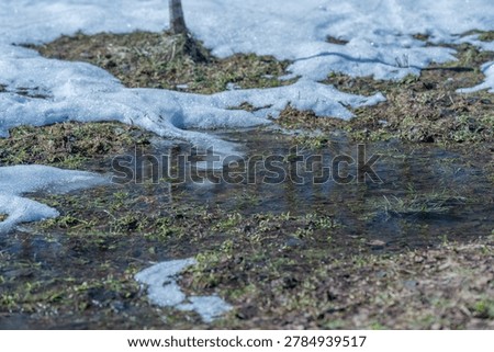 Patchy snow and spring melt water pooling across open field, shallow rivulets connecting small ponds, soft light casting faint reflections, damp earth awaiting new growth