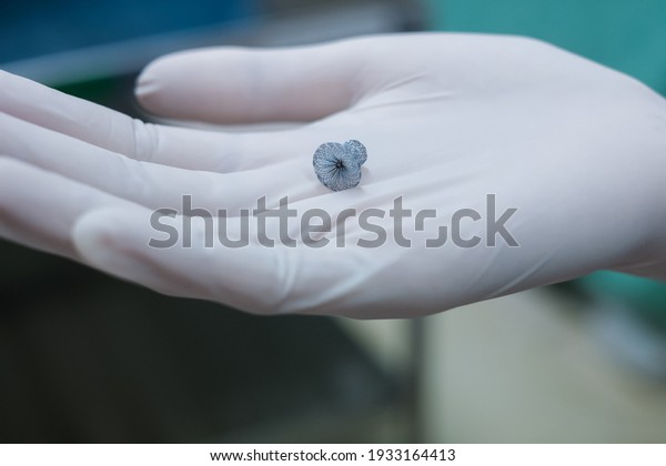 Patent Ductus Arteriosus Disease Pda Device Stock Photo (Edit Now ...