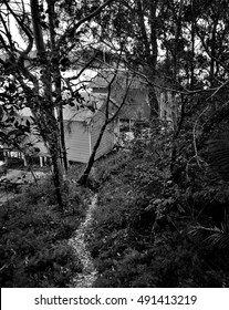The path