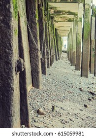 path