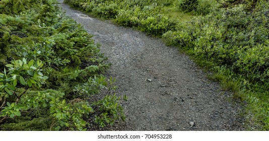 Path