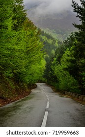 Path