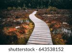 path above the marsh
