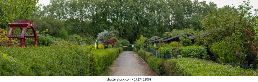 Path In A Allotment Garden, Hedges Left And Right On The Path, No People