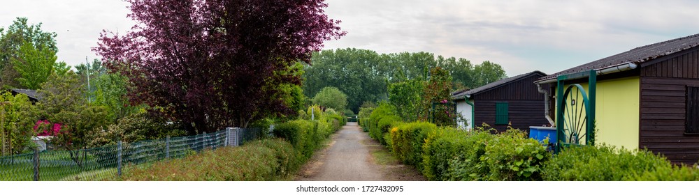 Path In A Allotment Garden, Hedges Left And Right On The Path, No People