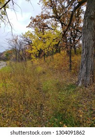 Path Along The Assiniboine River In Autumn