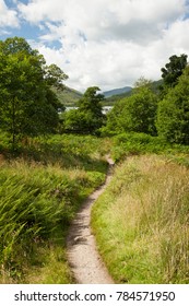 Path Along Loch Lomond (West Highland Way), Scotland