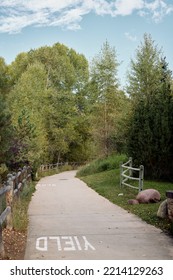 Path Along Rio Grande Trail Through A Park In Downtown Aspen, Colorado