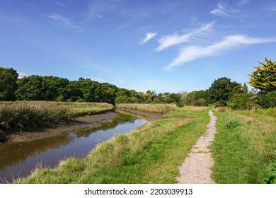 Path Along Side Of Small River. Open Green Space In Rural Location. 