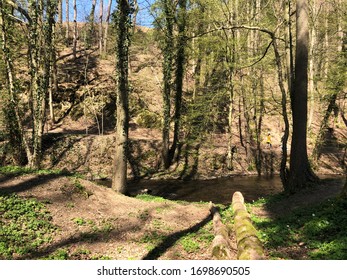 the path along the stream