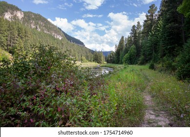 Path alongside a trout stream in Spearfish Canyon of the Black Hills of South Dakota
