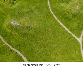 Path Among The Green Grass. Aerial Drone View.