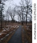 Path at the arboretum 