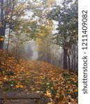 The path of autumn and mist