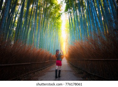 Path To Bamboo Forest At Kyoto,Japan