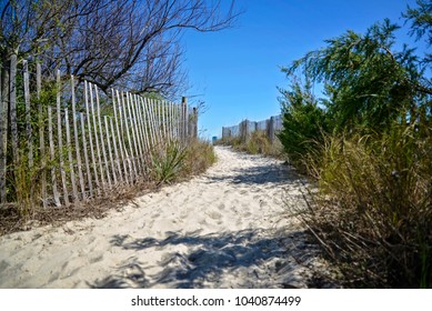 The path to the beach