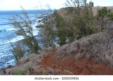Path to beach