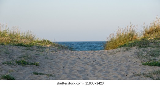 Path to the beach