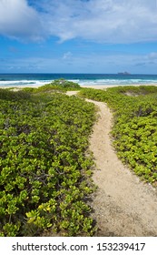 path to the beach