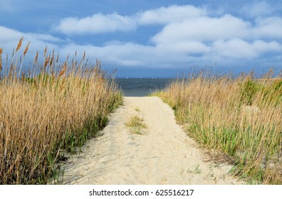 path to the beach
