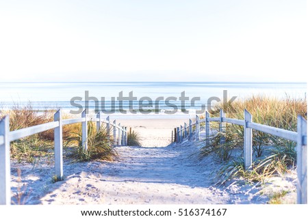 Path to the beach at baltic sea