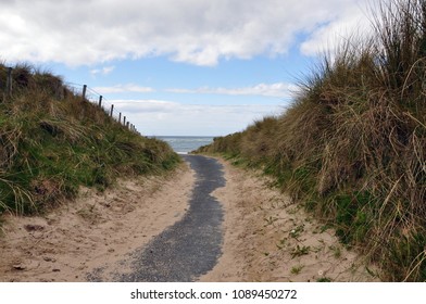 Path to a beach, between grassy dunes